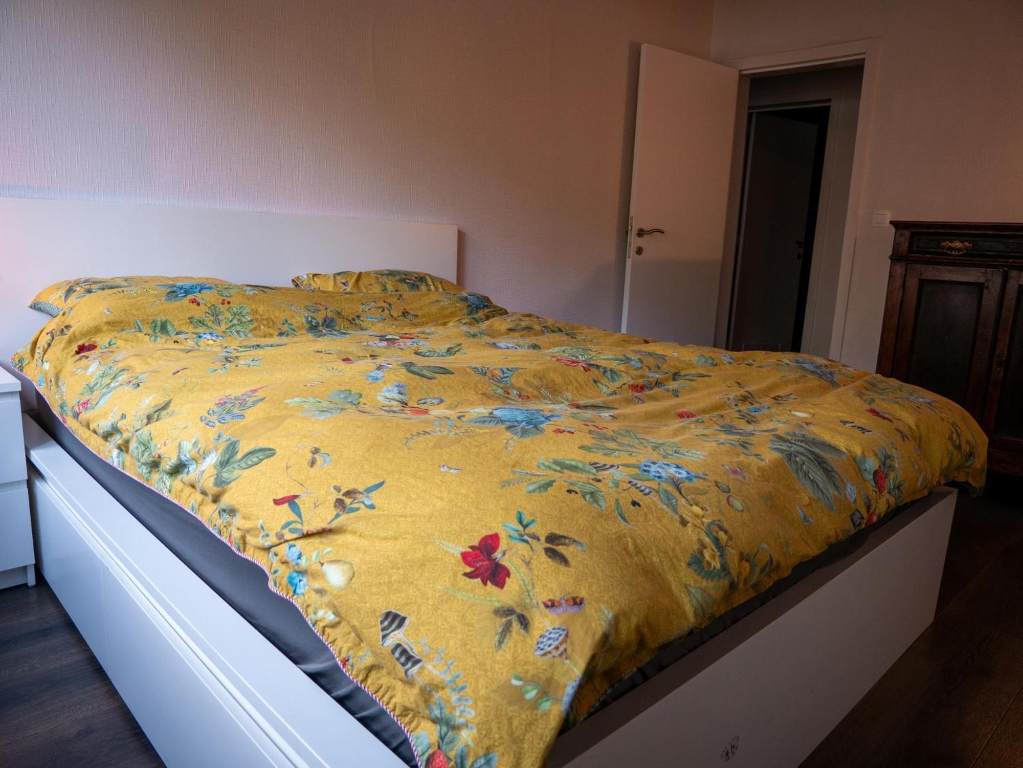 Appartamento Gezelligheid In Het Stadscentrum Van Arrondissement di Malines Esterno foto